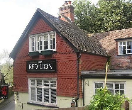 فندق Betchworthفي  The Red Lion المظهر الخارجي الصورة